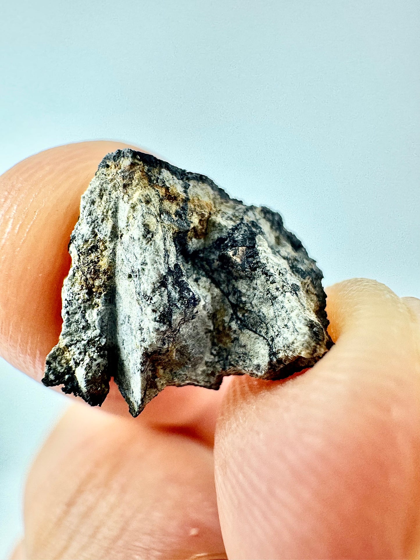 1.1g Chelyabinsk Brecciated Meteorite - End Cut - Jet Black Crust - Incredibly Fresh and Discovered Immediately After the Fall!