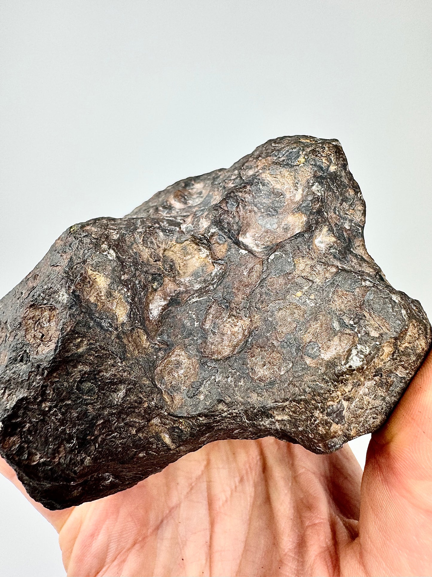 2,018g Campo Del Cielo Iron Meteorite - Lots of regmyglypts!
