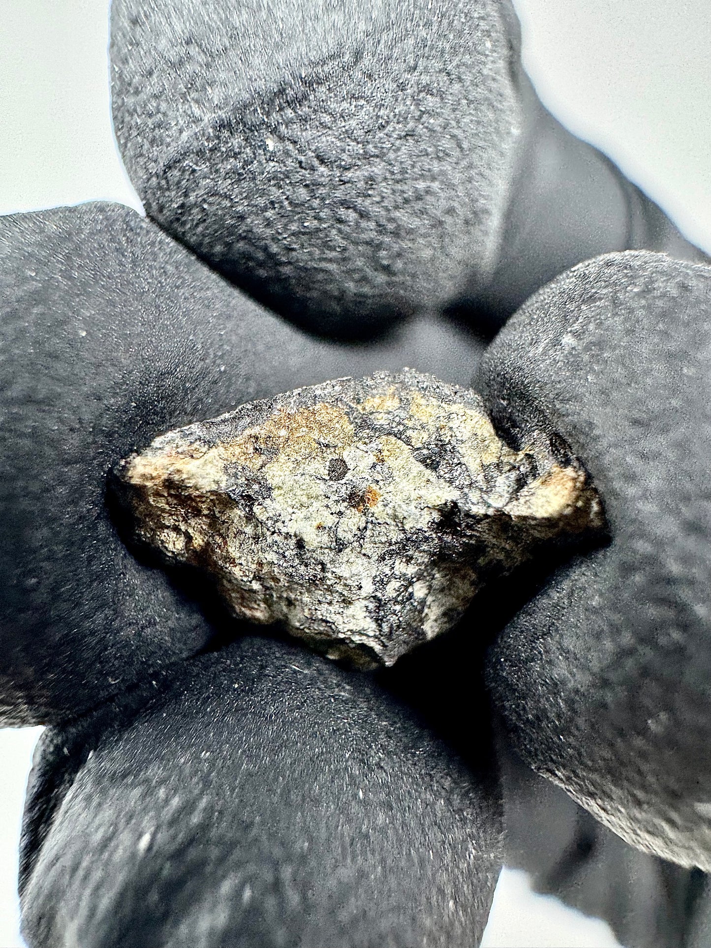 0.4g Chelyabinsk Brecciated Meteorite - Jet Black Crust - Incredibly Fresh and Discovered Immediately After the Fall!