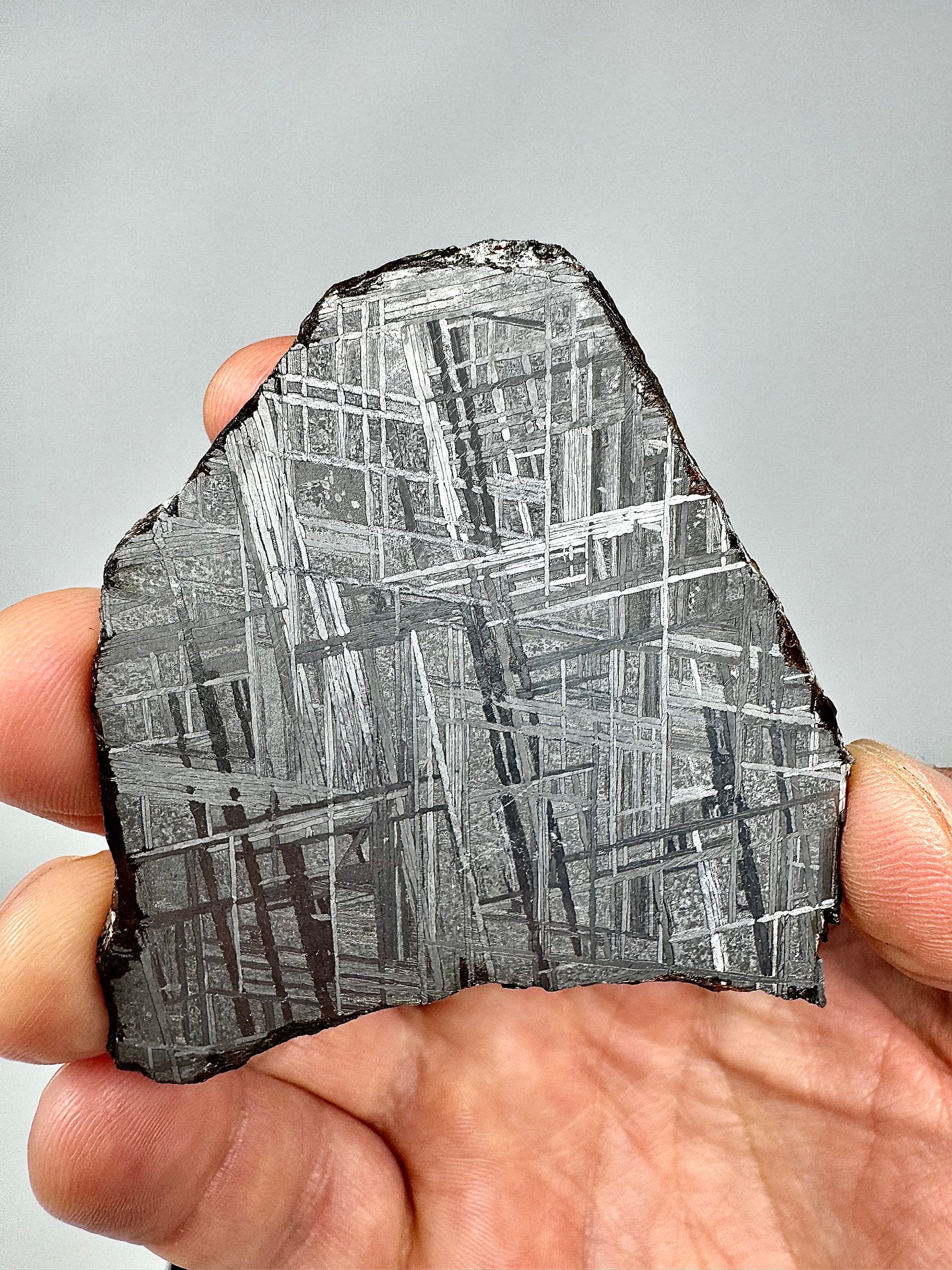 Muonionalusta Iron Meteorite - 55.4g Full Wedged Slice - From The Core Of An Asteroid!