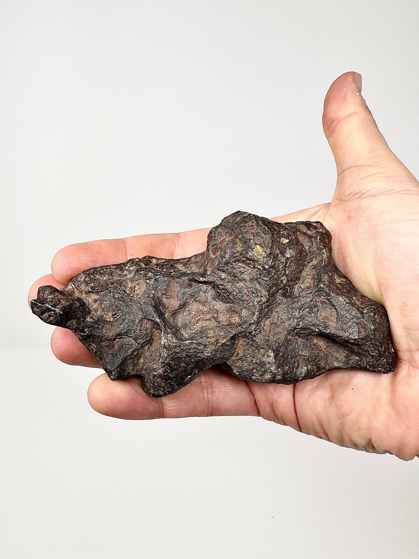 Campo Del Cielo Iron Meteorite - Beautiful Features - 895g