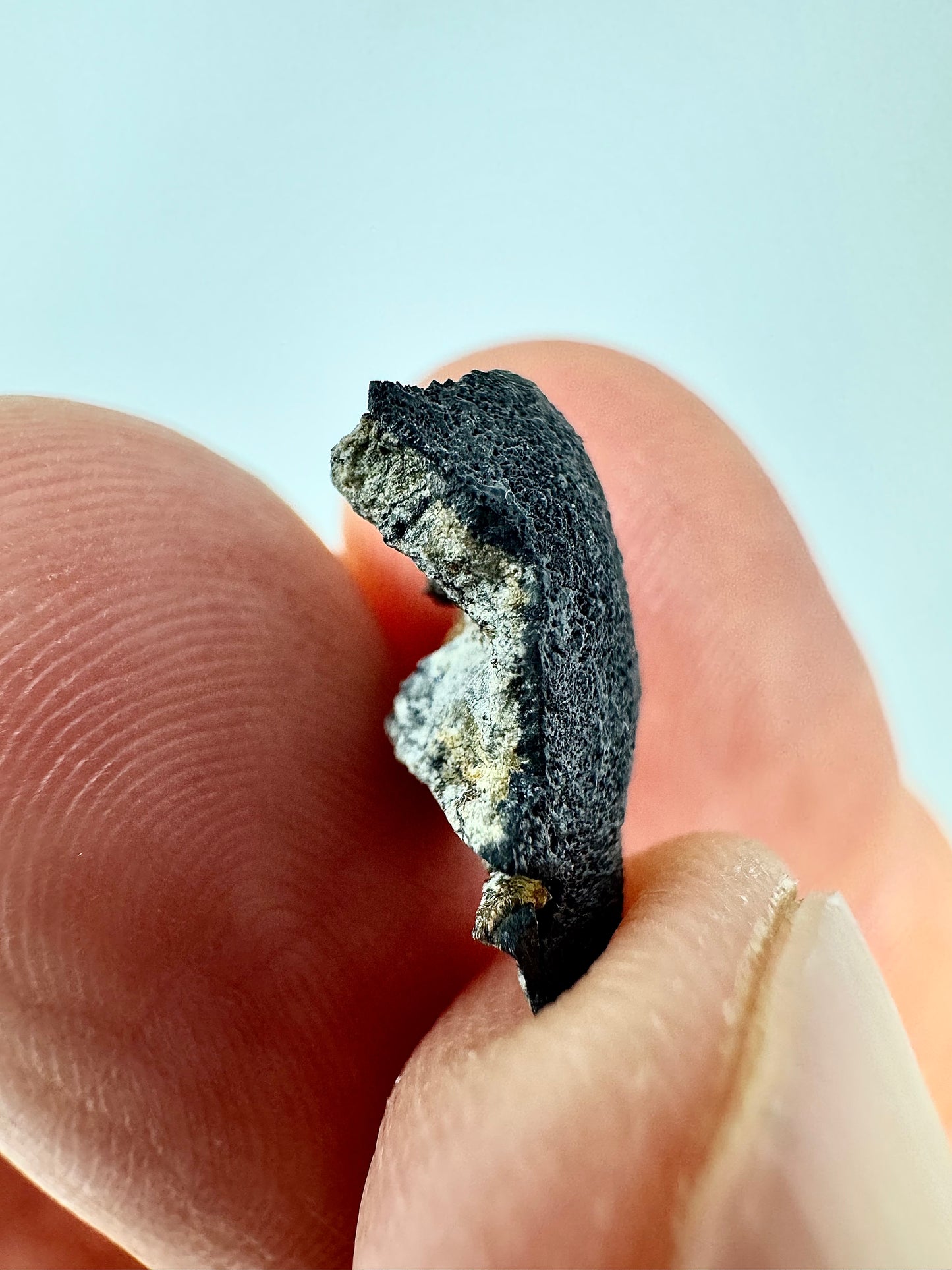 1.1g Chelyabinsk Brecciated Meteorite - End Cut - Jet Black Crust - Incredibly Fresh and Discovered Immediately After the Fall!
