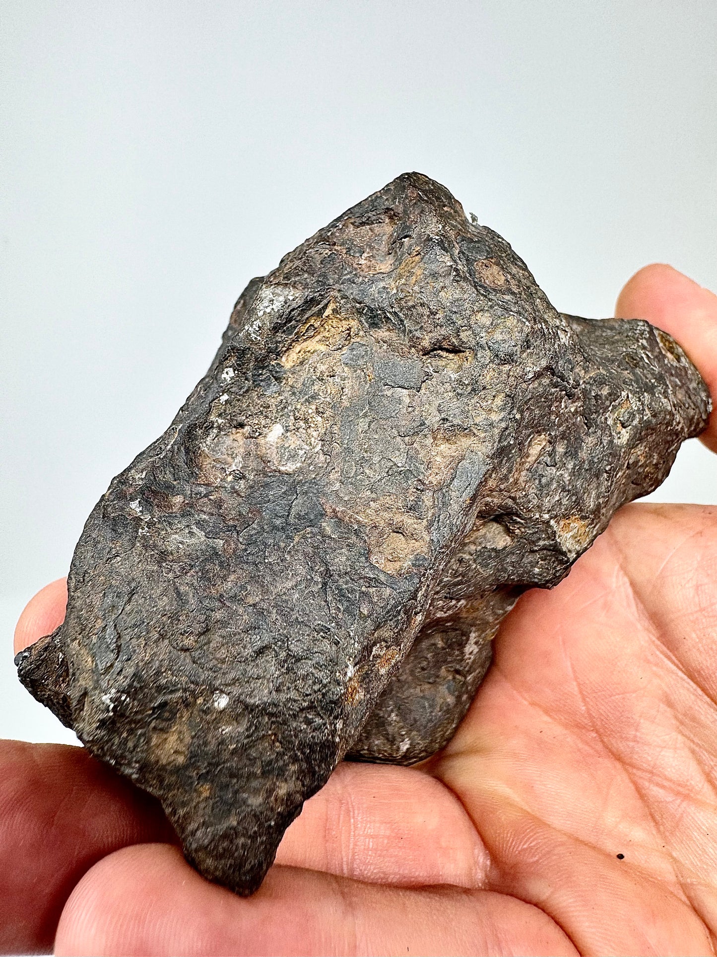 1,223g Campo Del Cielo Iron Meteorite - Beautiful Features