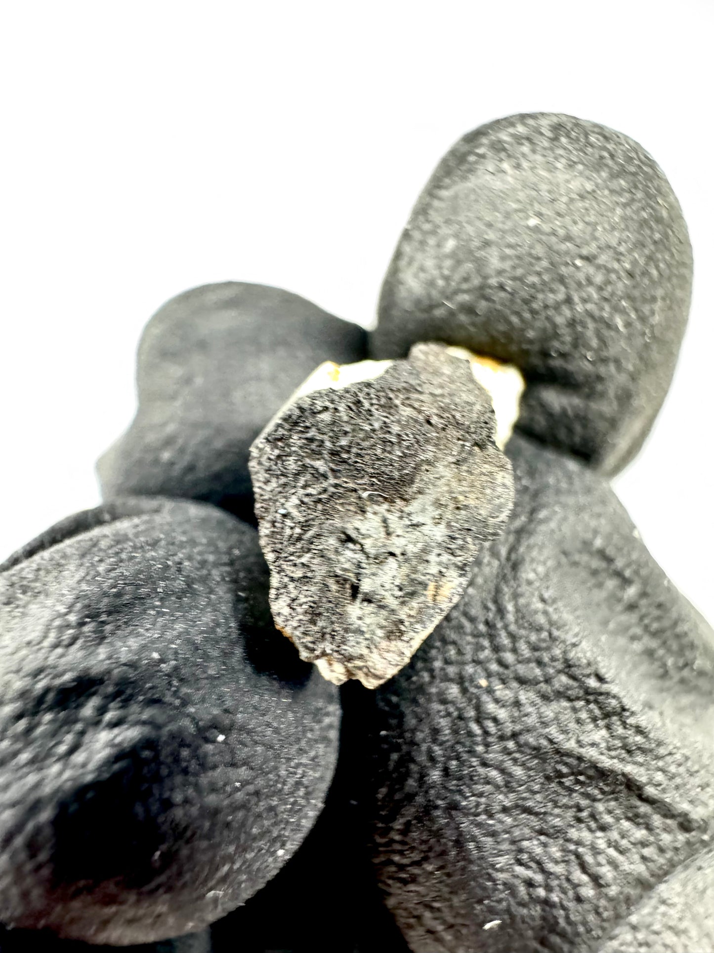 1.2g Chelyabinsk Brecciated Meteorite - Jet Black Crust - Incredibly Fresh and Discovered Immediately After the Fall!