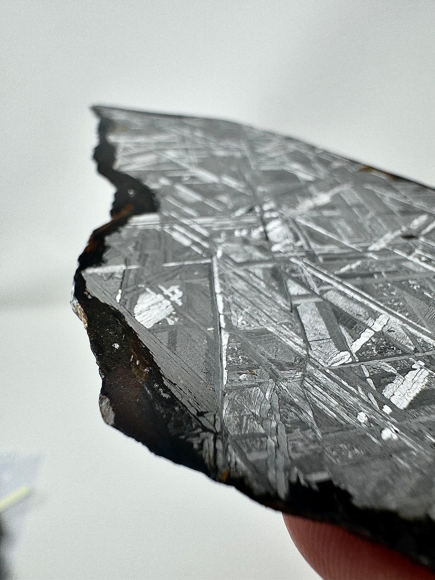 Muonionalusta Iron Meteorite - 143.6g - Full Slice - From The Core Of An Asteroid!