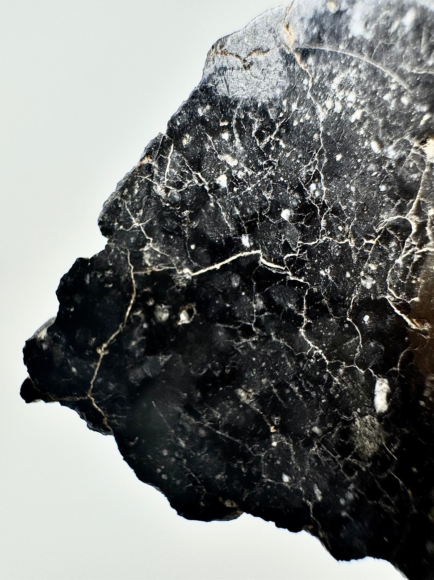 Mesmerizing Full Slice of NWA 13951 “Starry Night” Lunar Meteorite - 3.1g