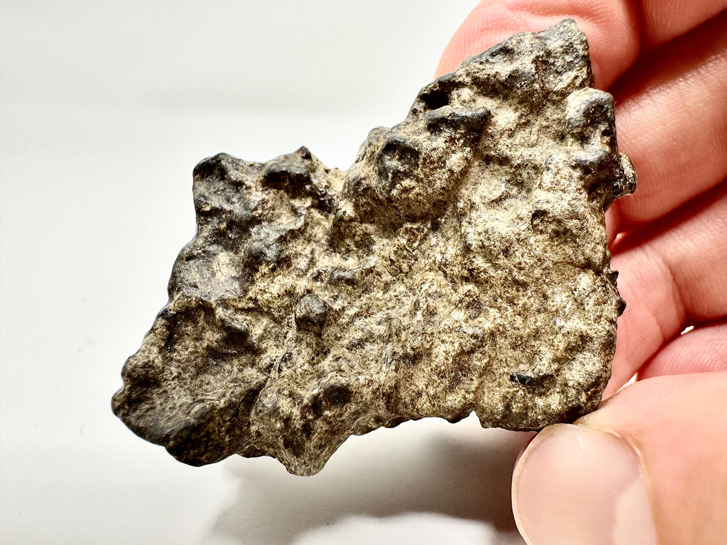 57.4g Genuine Martian Meteorite Amgala 001 Individual - Scientifically Studied Rock From Planet Mars