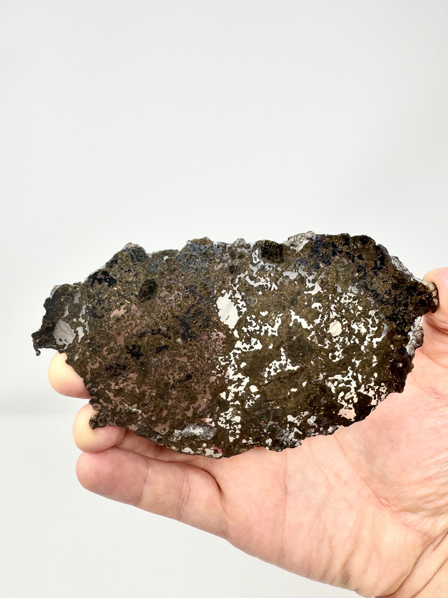 72.1g El Milhas 005 Mesosiderite Meteorite - The Estherville Lookalike!