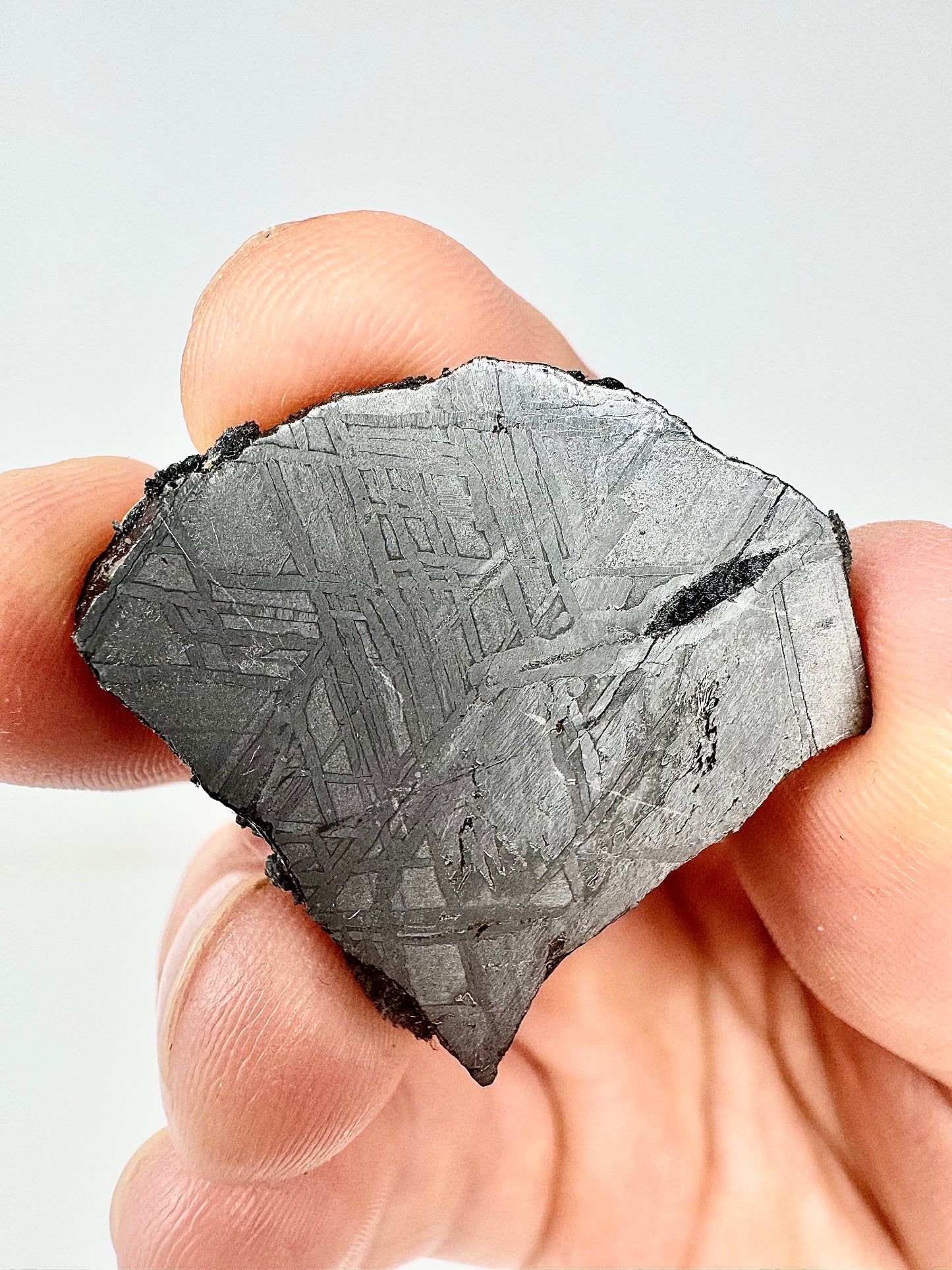 Beautiful, Newly Discovered Iron Meteorite - 21.0 Full Slice