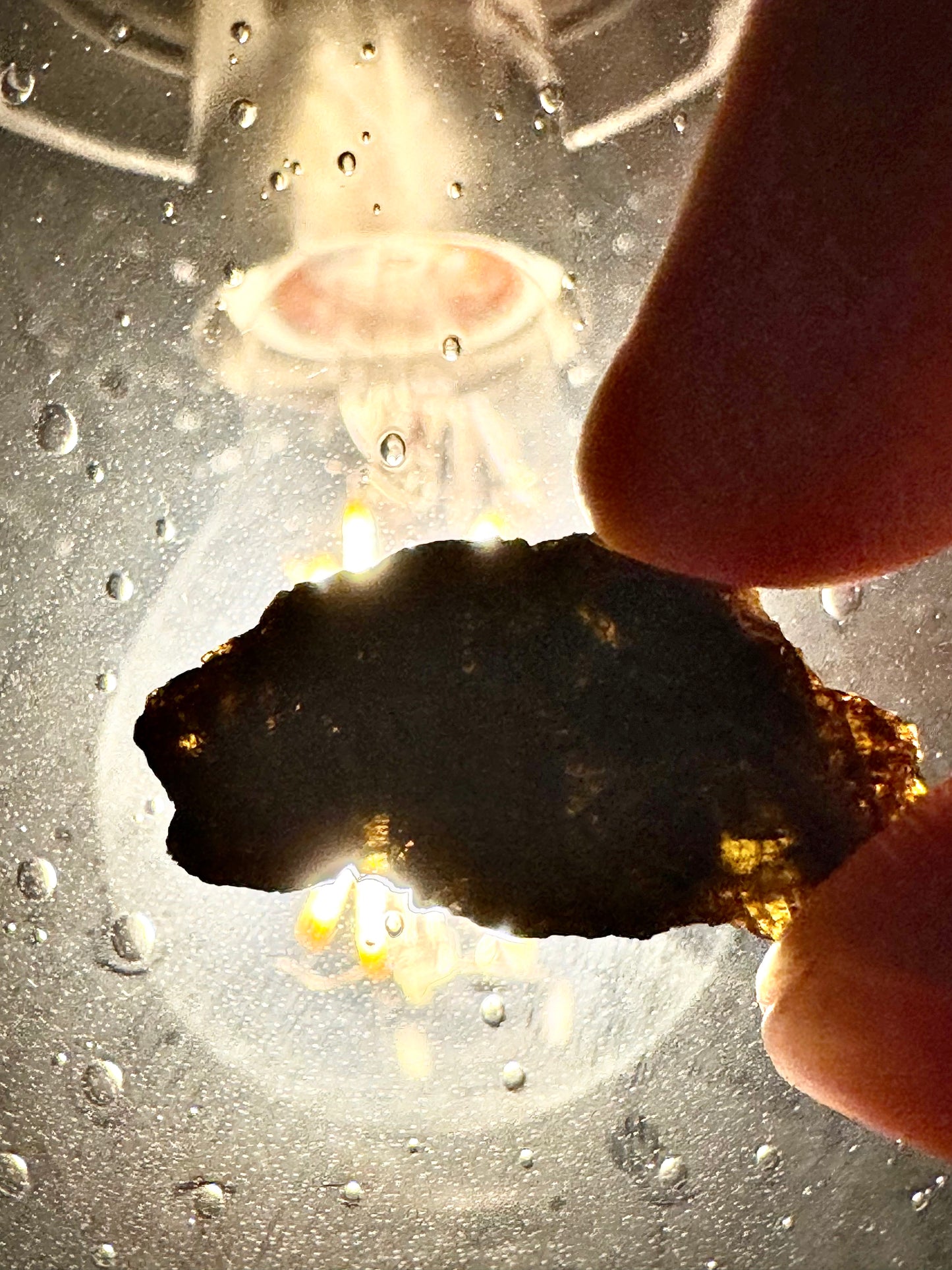 NWA 7831 Beautiful Translucent Diogenite Meteorite - 3.1g - Parent Body: Asteroid Vesta