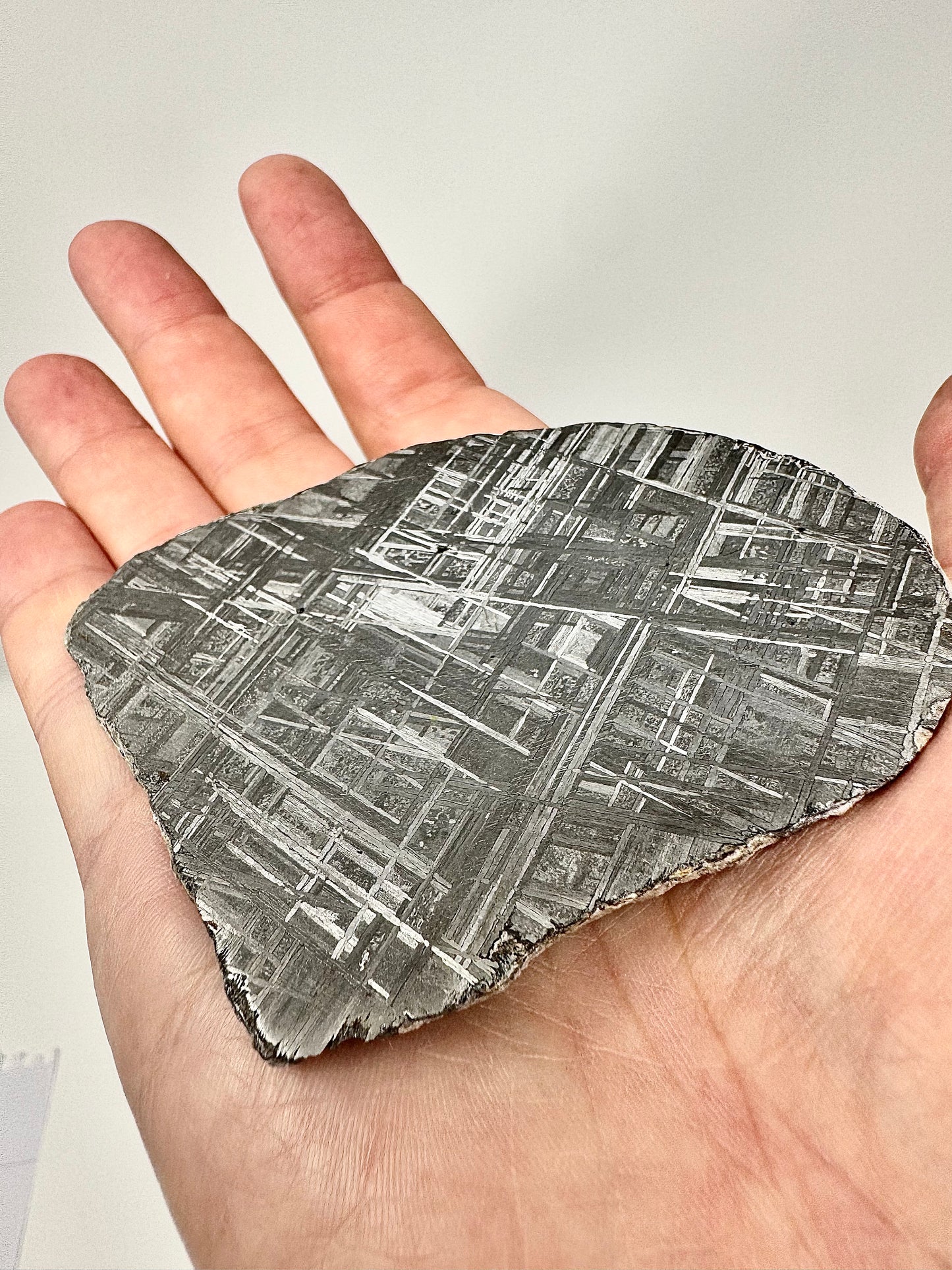 Muonionalusta Iron Meteorite - 98.5g Full Slice - From The Core Of An Asteroid!