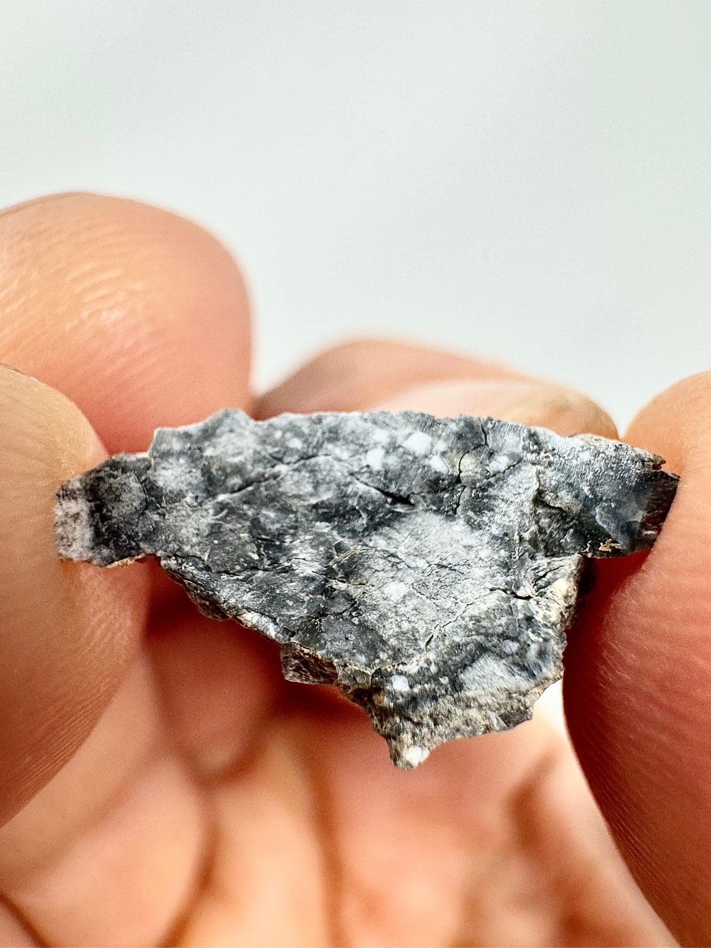 Gadamis 003 Lunar Meteorite - Ferroan Anorthosite, Cataclastic - “The Apollo Lunar” - 0.4g