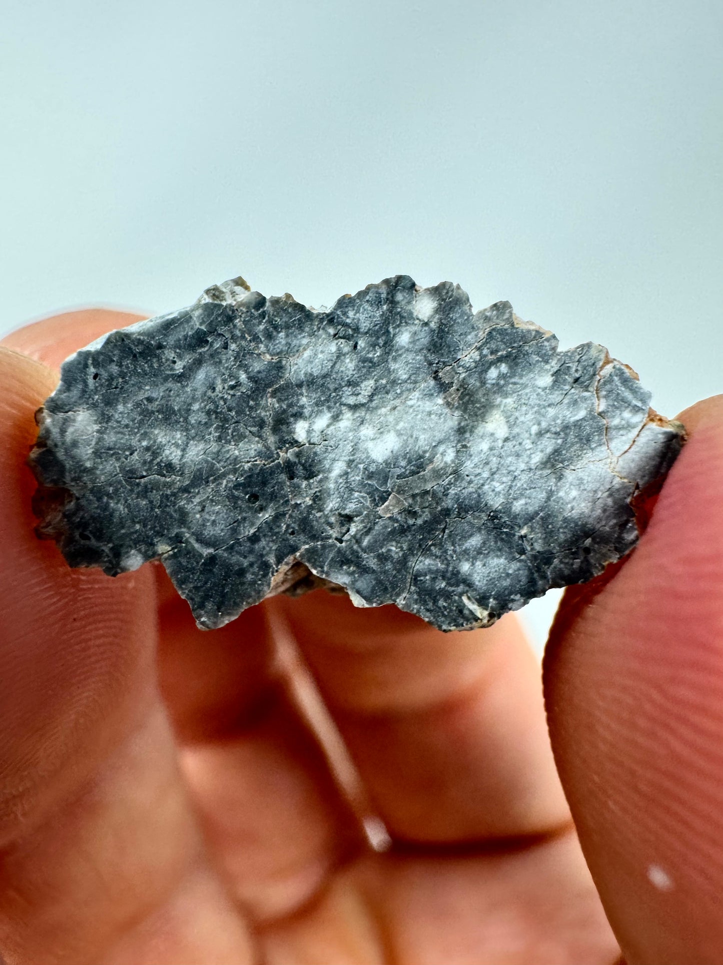 Gadamis 003 Lunar Meteorite - Ferroan Anorthosite, Cataclastic - “The Apollo Lunar” - 1.1g