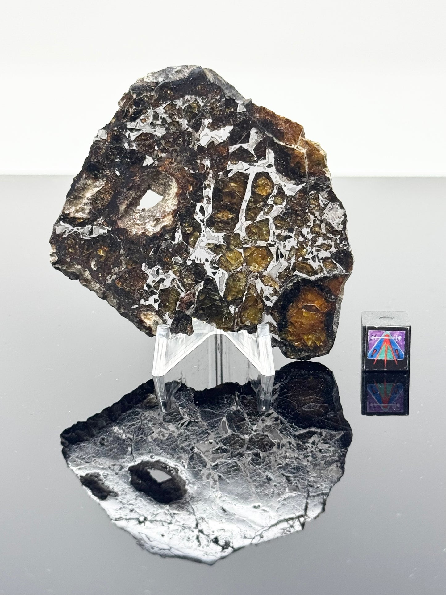 36.3g Admire Pallasite Meteorite w/ Natural Hole! From The Mantle/Core Of An Asteroid - Grade B Translucency