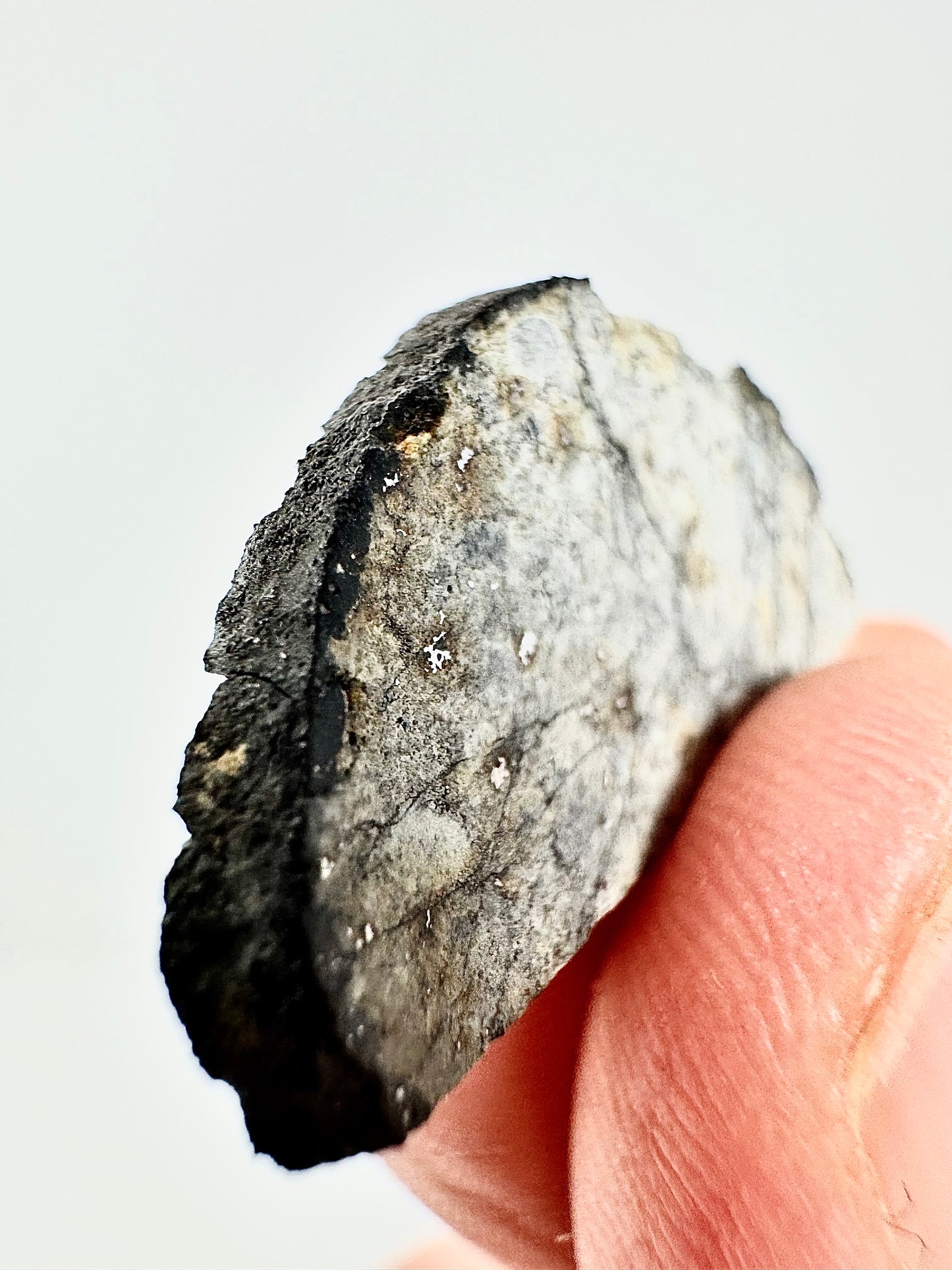 2.0g Chelyabinsk Brecciated Meteorite - Jet Black Crust - Incredibly Fresh and Discovered Immediately After the Fall!
