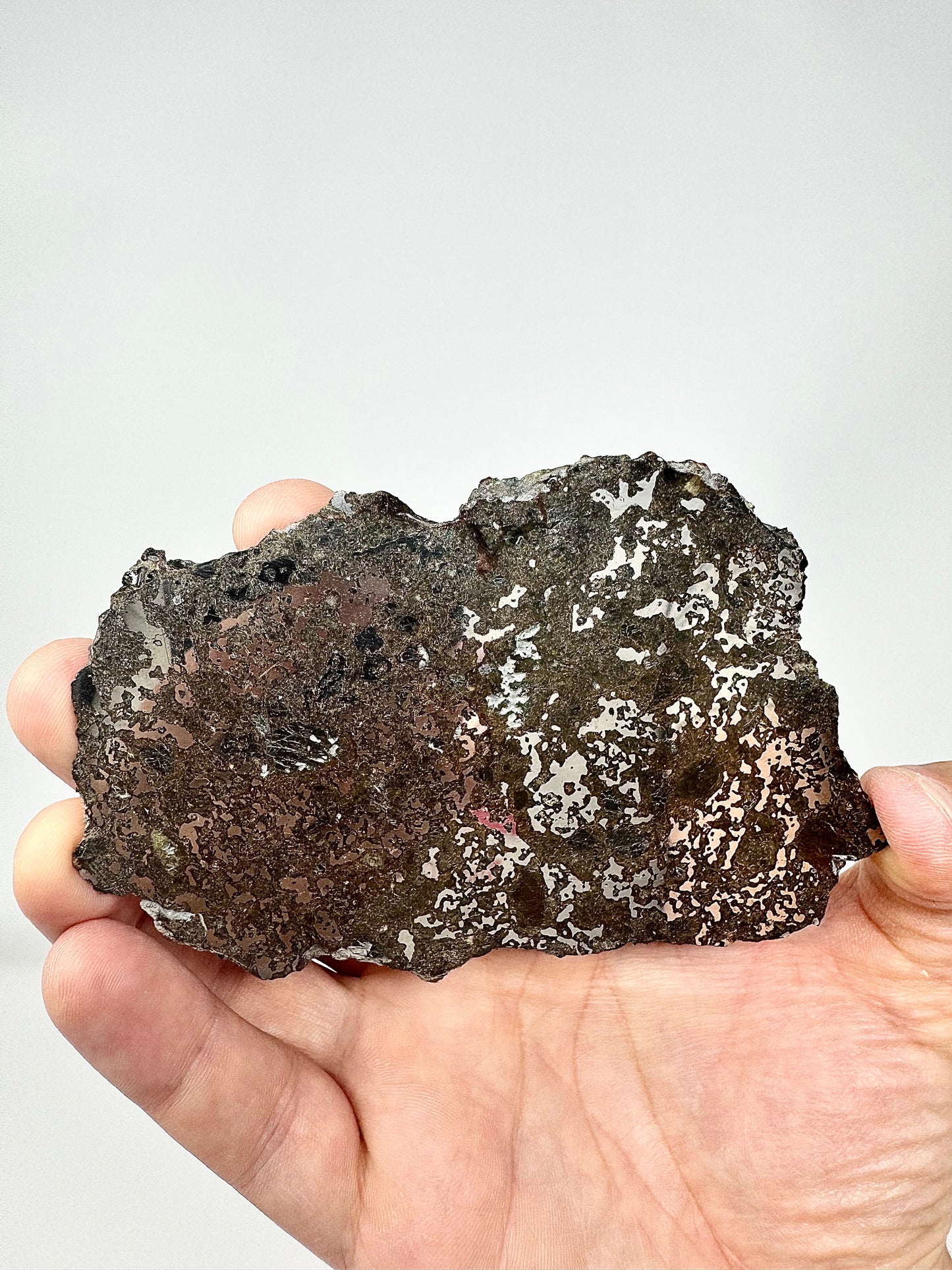 65.1g El Milhas 005 Mesosiderite Meteorite - The Estherville Lookalike!