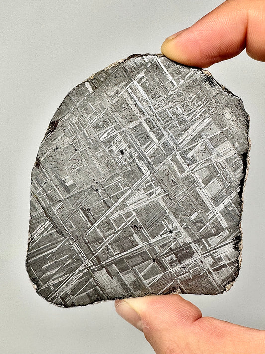 Muonionalusta Iron Meteorite - 96.1g Full Slice - From The Core Of An Asteroid!