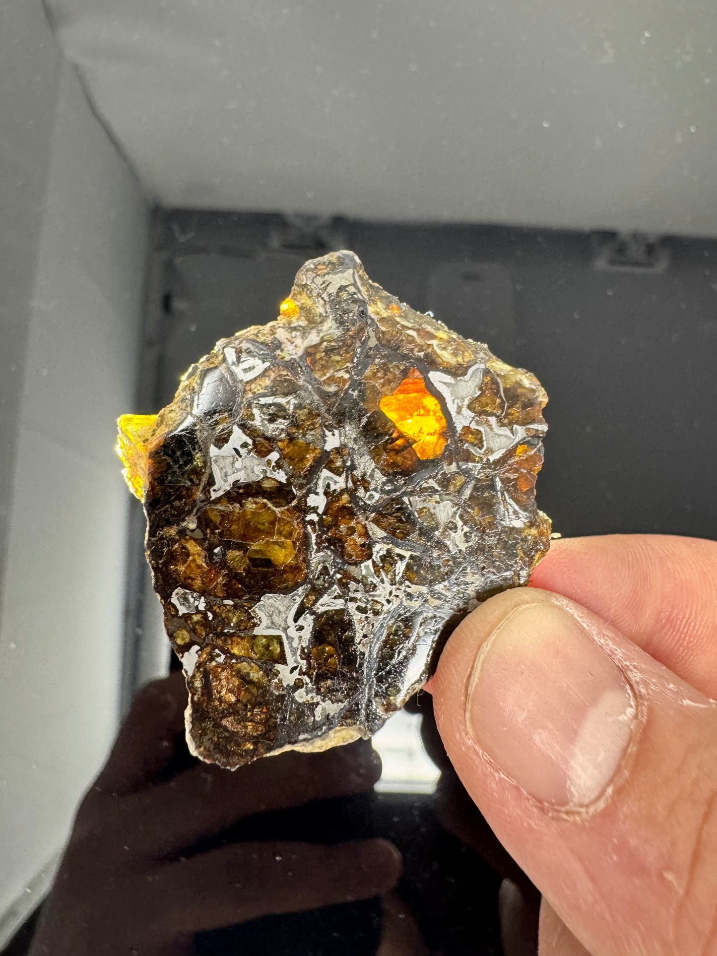 16.6g Admire Pallasite Meteorite - From The Mantle/Core Of An Asteroid - Grade B Translucency