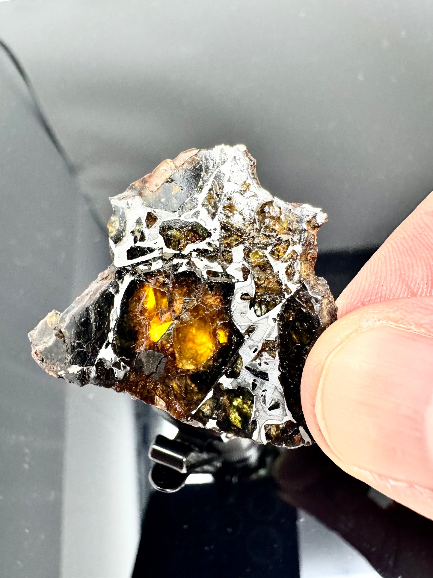 11.8g Admire Pallasite Meteorite - From The Mantle/Core Of An Asteroid - Grade B Translucency