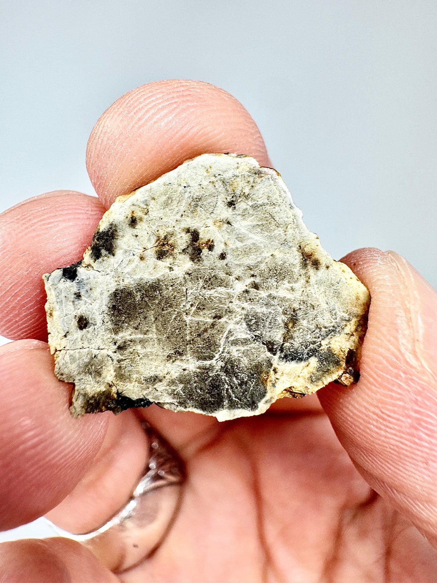 Beautiful Marble-Like Djoua 001 Enstatite Achondrite Meteorite - 2.1g