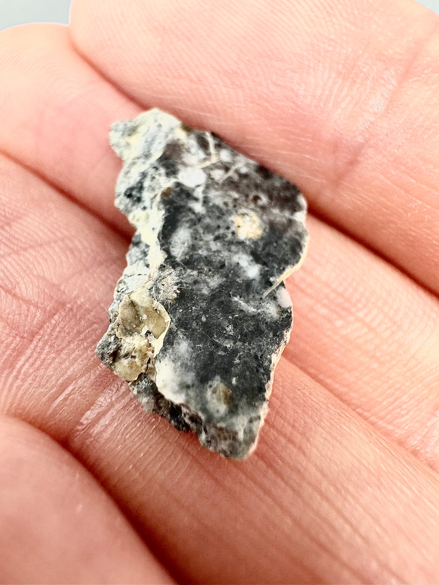 1.2g Bechar 003 Lunar Feldspathic Breccia w/ big metal inclusion from impact in space! Polished