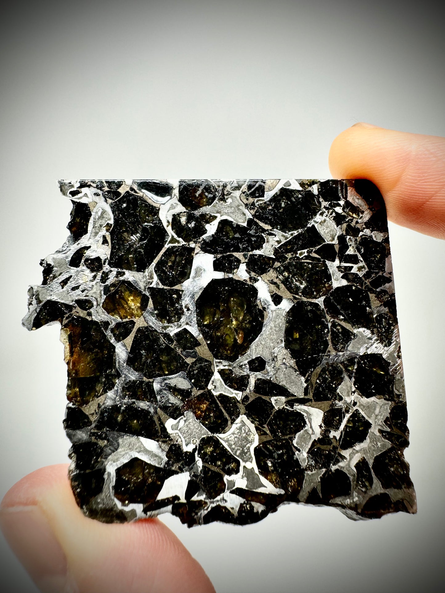 Brahin Pallasite Meteorite - 45.8g - From The Mantle/Core Of An Asteroid - Thick Cut - Very Little Translucency