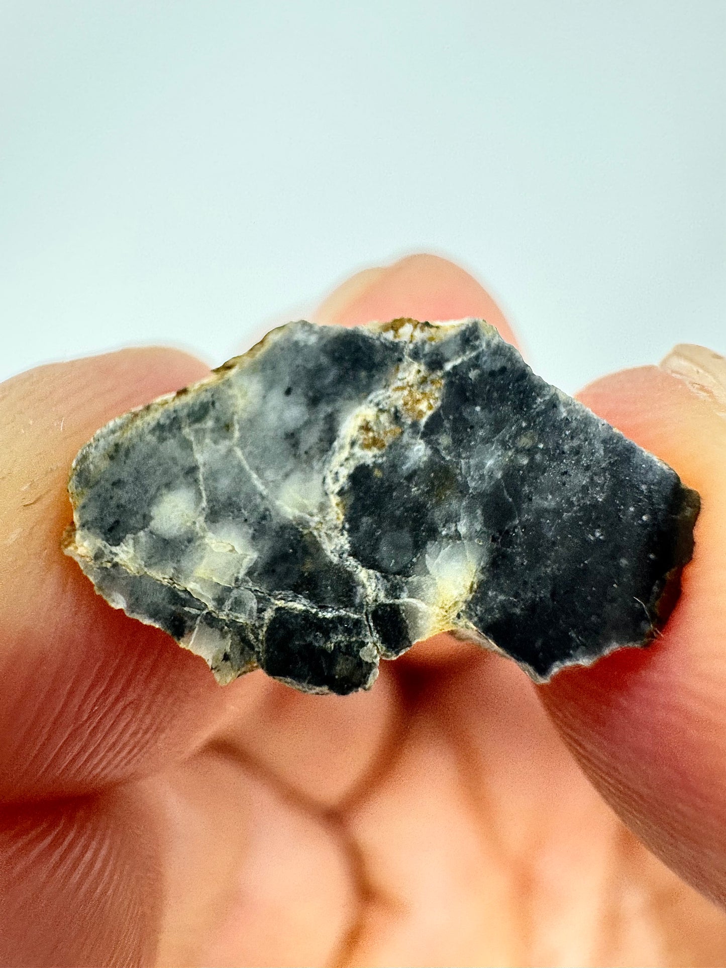 0.7g Bechar 003 Lunar Feldspathic Breccia - End Cut