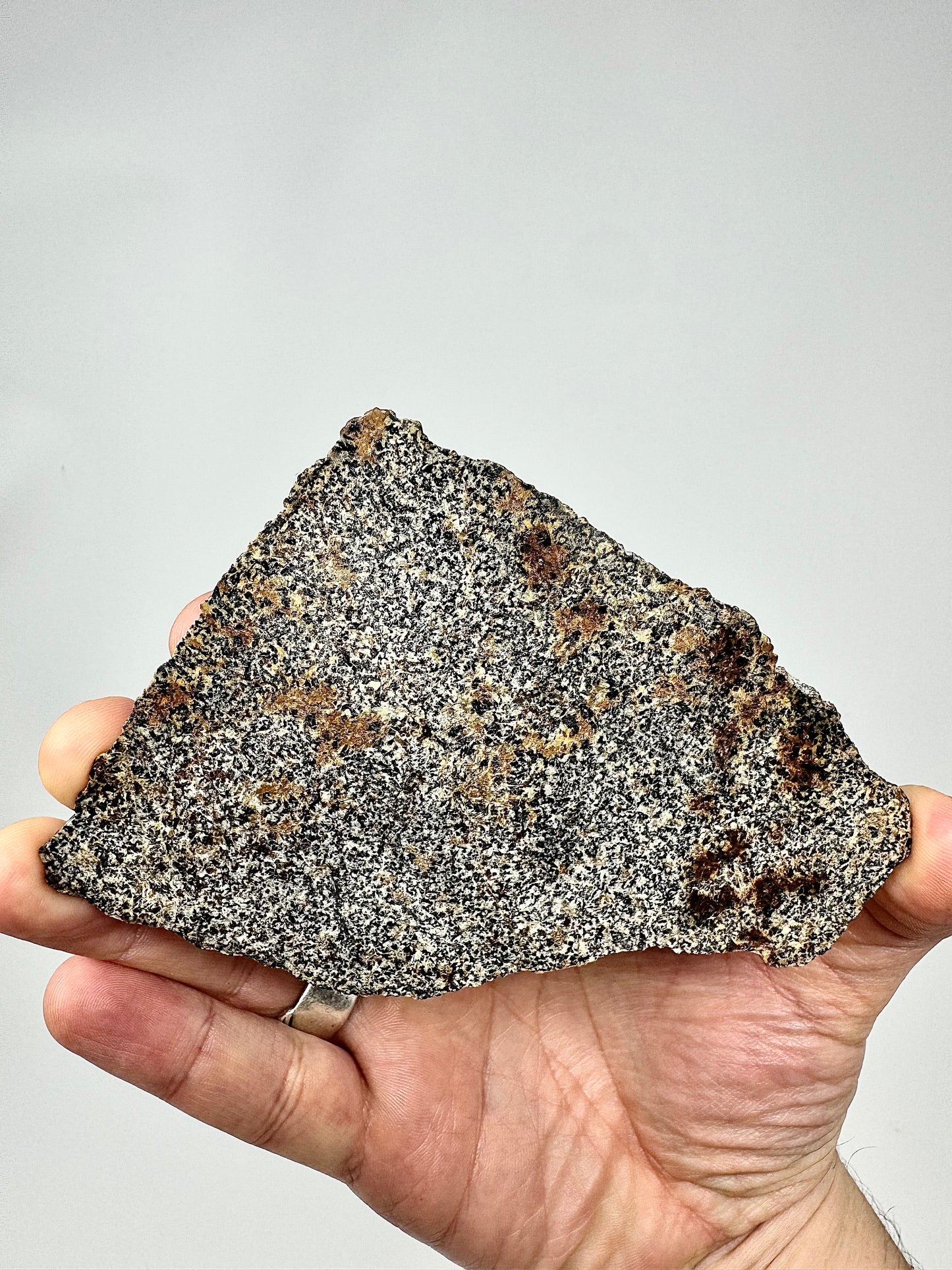 NWA 16312 Eucrite Meteorite FULL SLICE - 48.1g - From An Asteroid - Part Of The HED Group