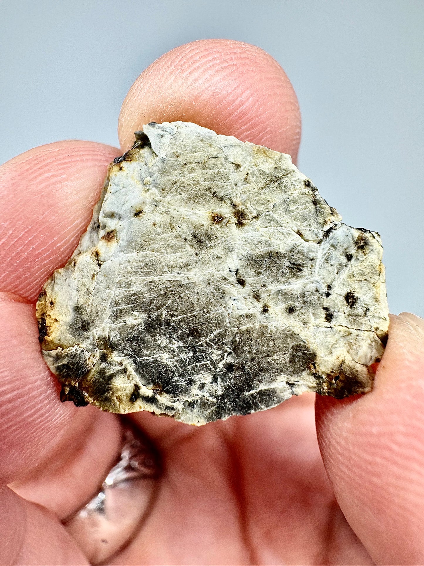 Beautiful Marble-Like Djoua 001 Enstatite Achondrite Meteorite - 2.1g