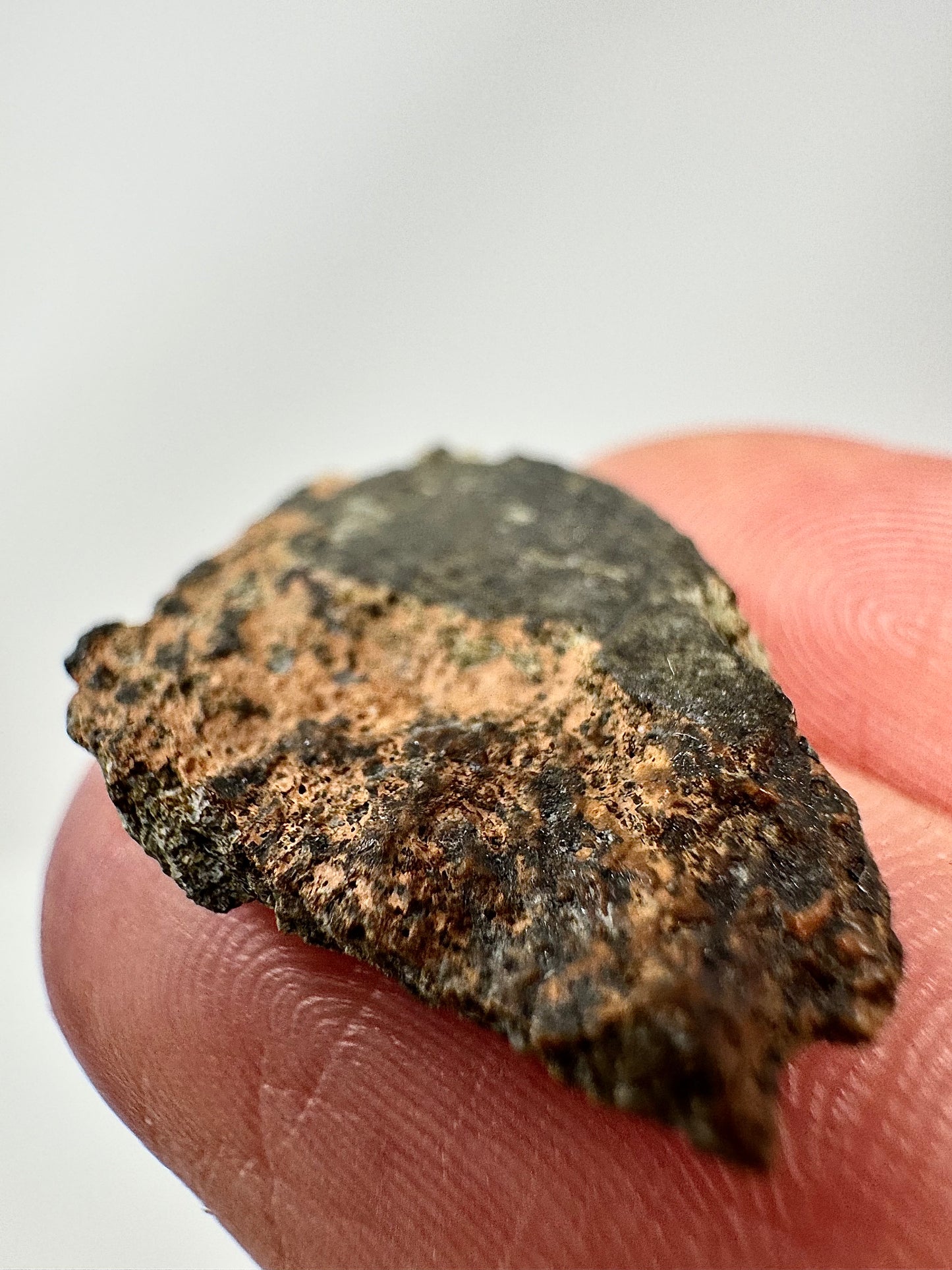 2.0g Genuine Martian Meteorite Amgala 001 with Shock Vein! Scientifically Studied Rock From Planet Mars