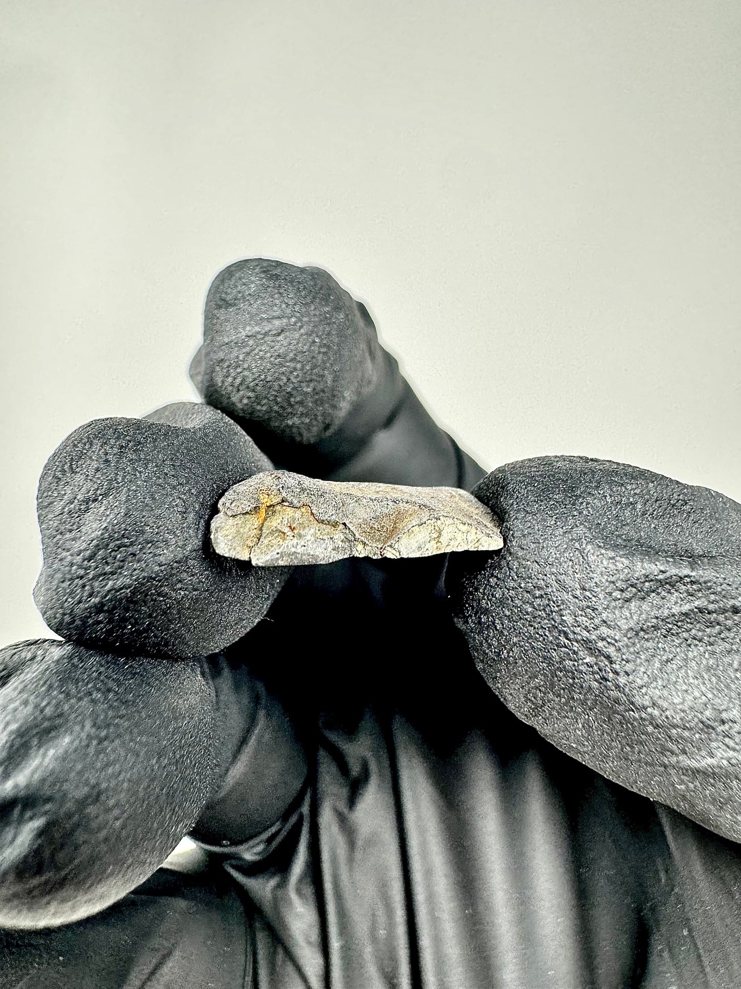 0.9g Chelyabinsk Brecciated Meteorite - End Cut - Jet Black Crust - Incredibly Fresh and Discovered Immediately After the Fall!