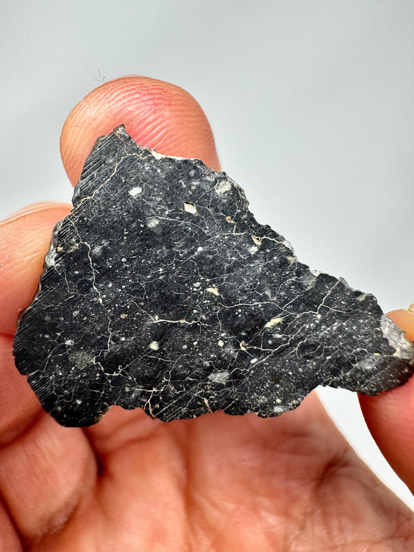 Mesmerizing Full Slice of NWA 13951 “Starry Night” Lunar Meteorite - 3.1g