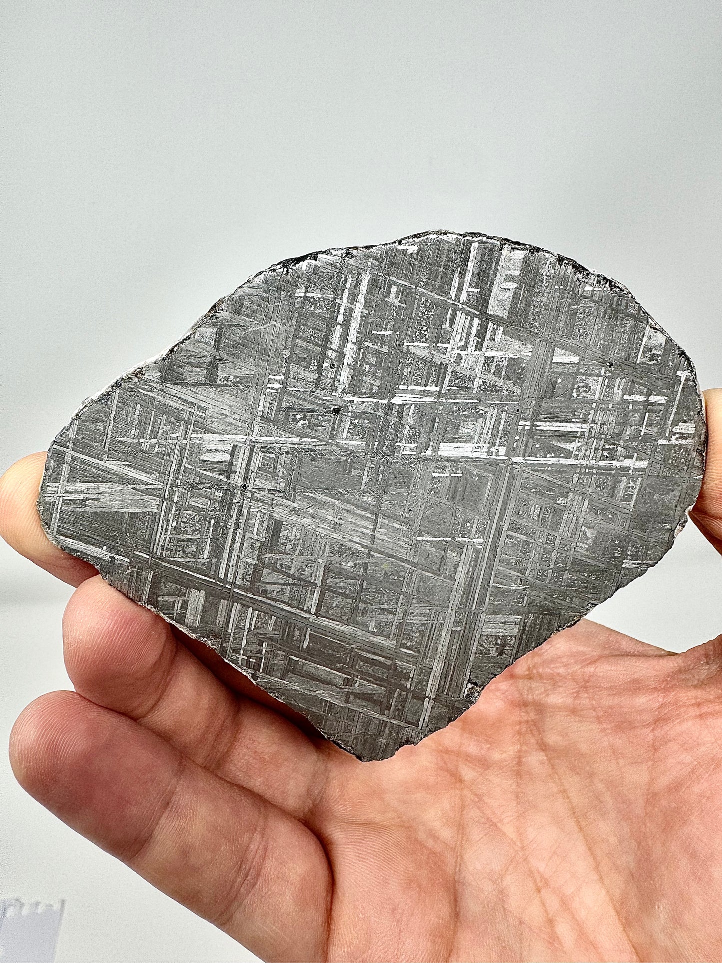 Muonionalusta Iron Meteorite - 98.5g Full Slice - From The Core Of An Asteroid!