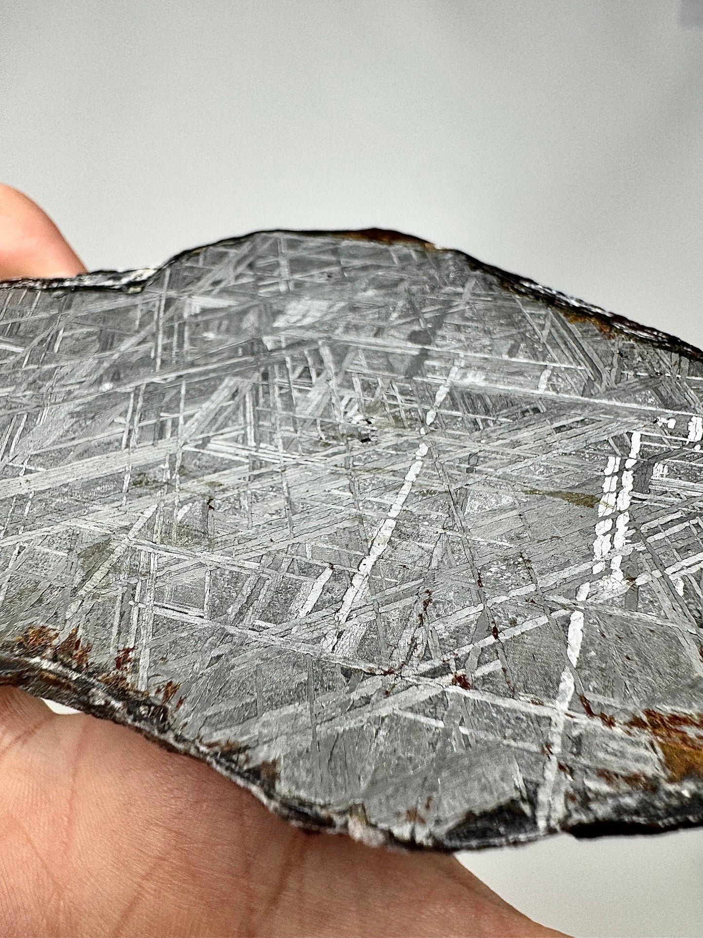 Muonionalusta Iron Meteorite - 143.6g - Full Slice - From The Core Of An Asteroid!
