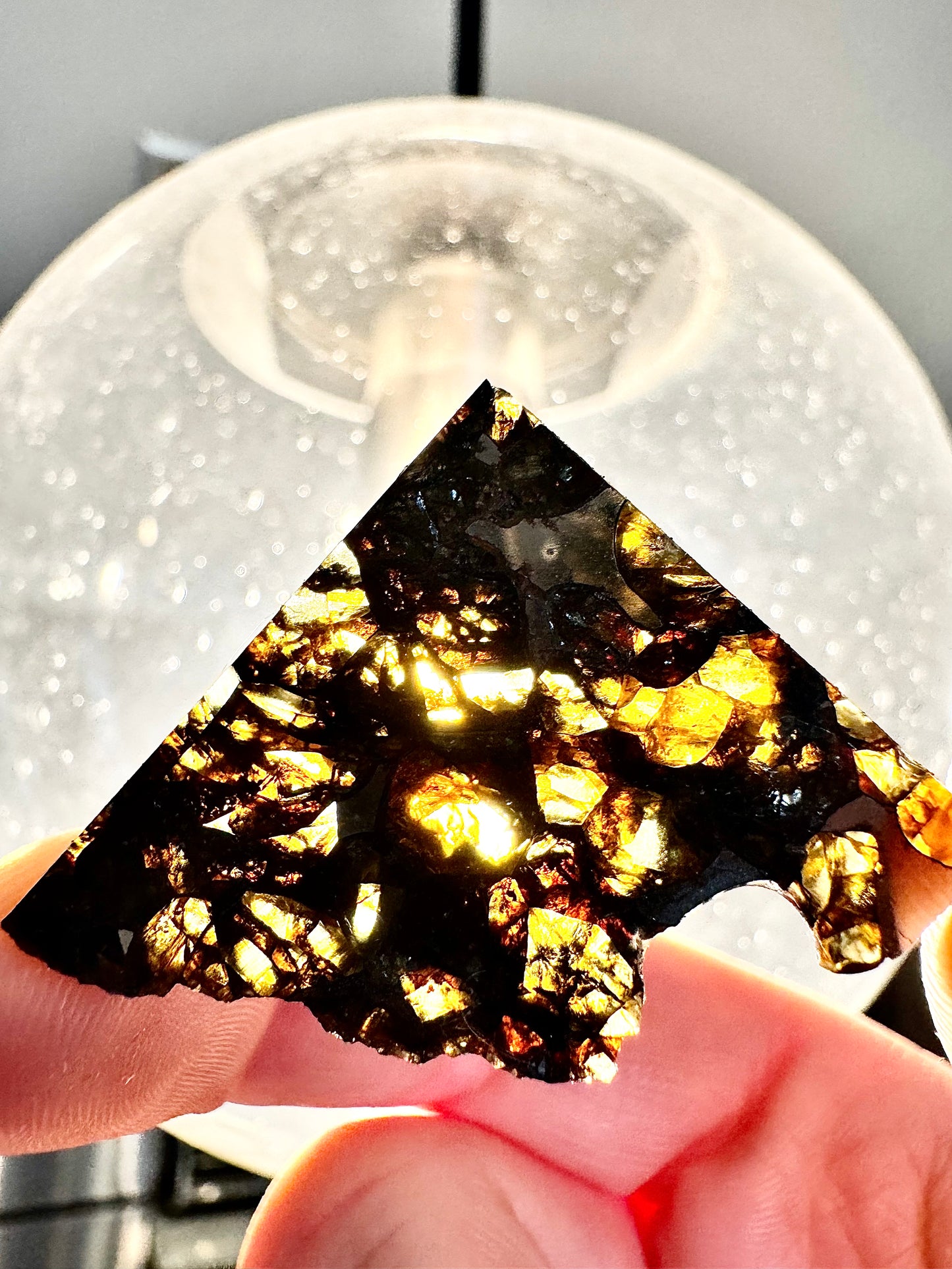 Brahin Pallasite Meteorite - 5.5 - From The Mantle/Core Of An Asteroid