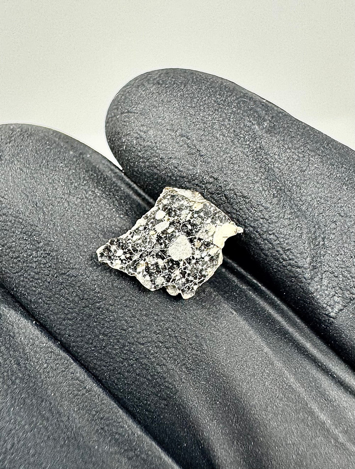 Stunning NWA 14685 Lunar Meteorite - Polished! 0.3g