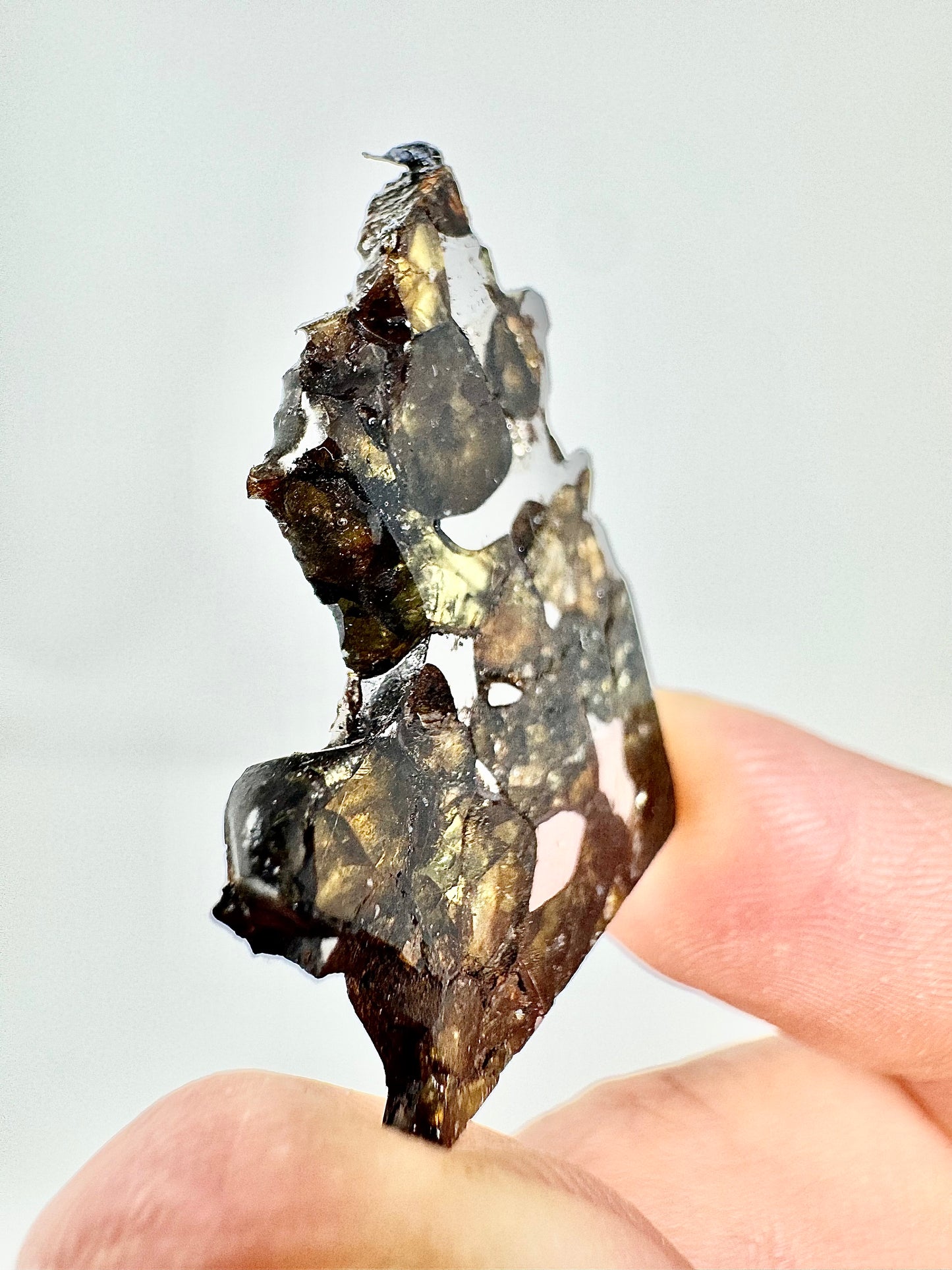 Brahin Pallasite Meteorite - 4.9g - From The Mantle/Core Of An Asteroid