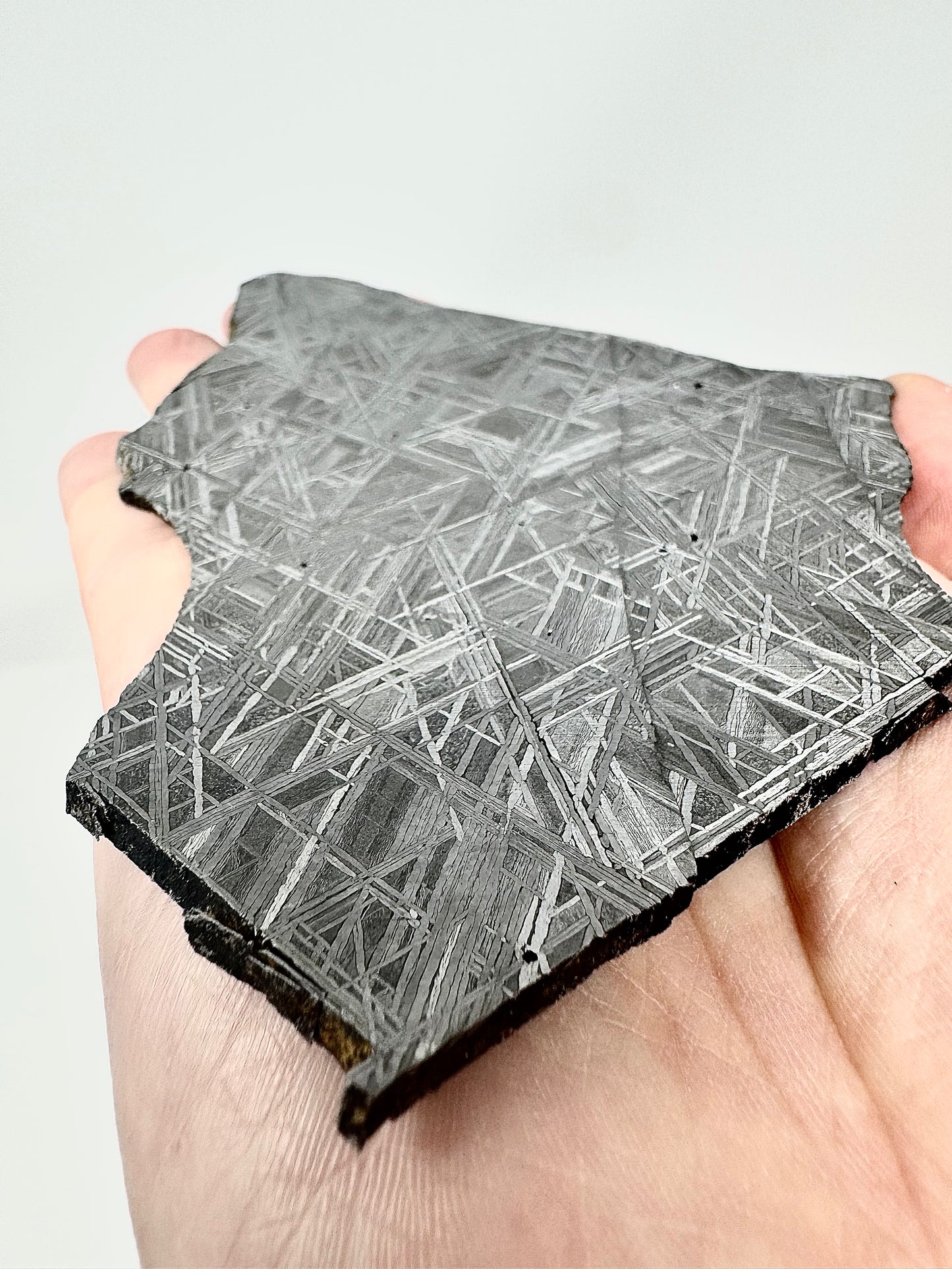 “The Infinity Iron” NWA 17092 - 158.6g Full Slice - From The Core Of An Asteroid