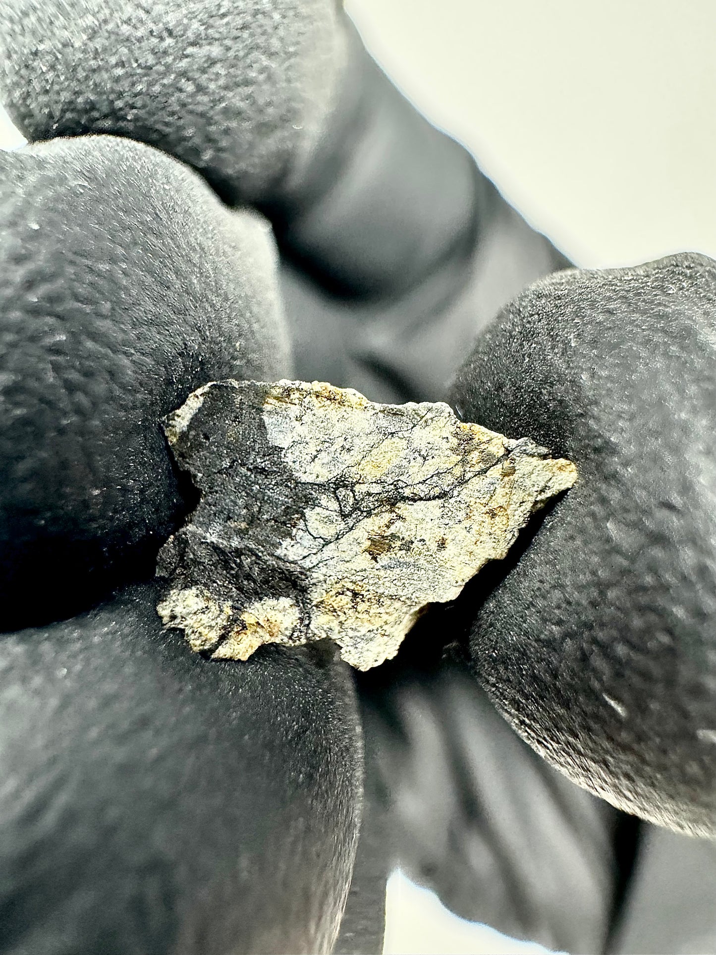 0.3g Chelyabinsk Brecciated Meteorite - Jet Black Crust - Incredibly Fresh and Discovered Immediately After the Fall!
