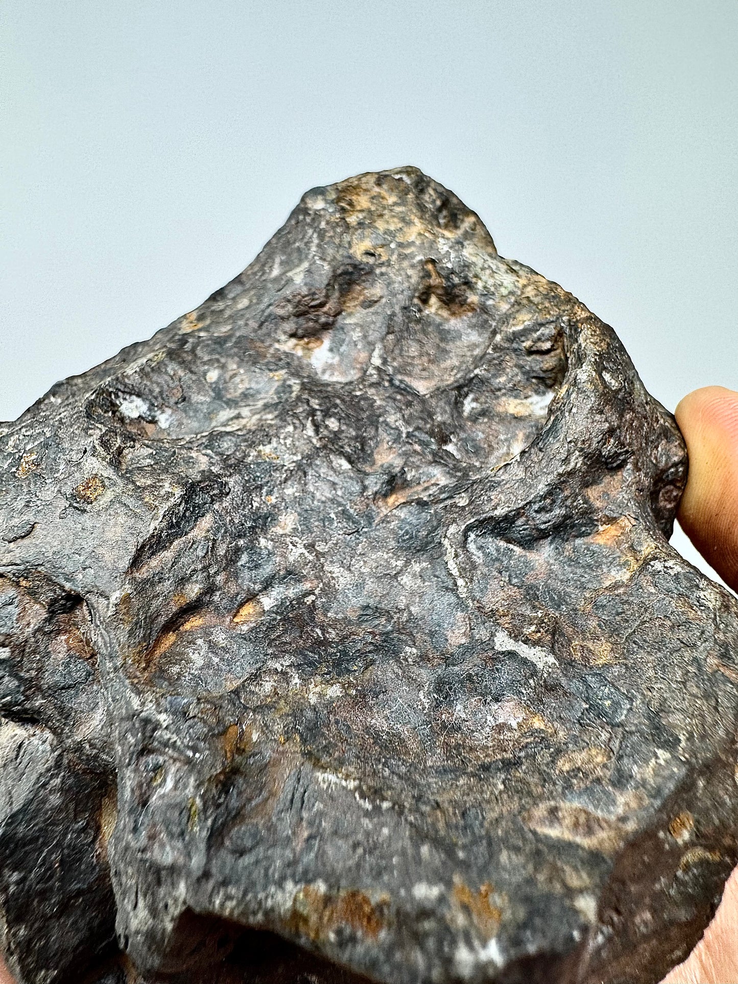 2,018g Campo Del Cielo Iron Meteorite - Lots of regmyglypts!
