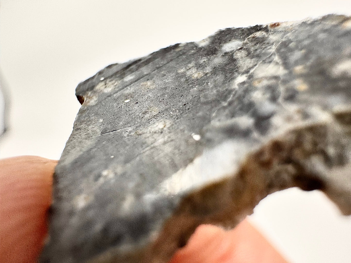 2.1g Bechar 003 Lunar Feldspathic Breccia with metal inclusions from impact in space! Polished