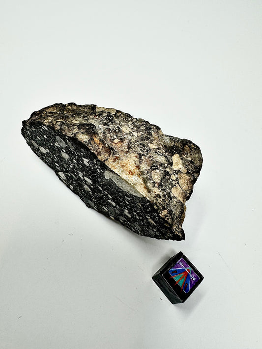 Massive Chunk of the Moon with Fusion Crust! NWA 14685 Lunar Fragmental Breccia End Cut - Polished - 80.9g