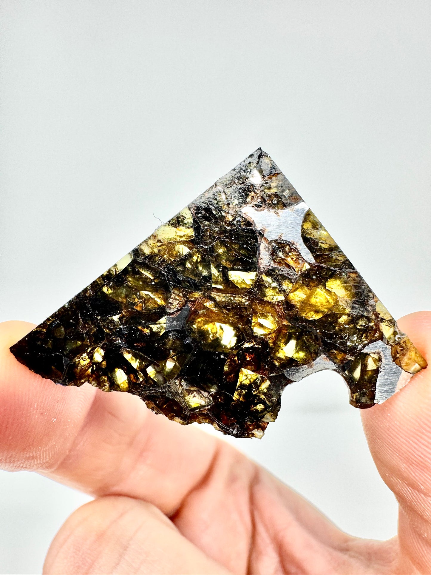 Brahin Pallasite Meteorite - 5.5 - From The Mantle/Core Of An Asteroid