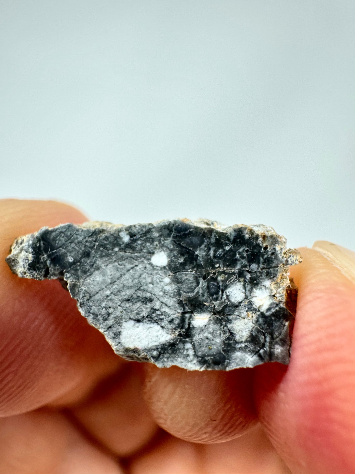 Gadamis 003 Lunar Meteorite - Ferroan Anorthosite, Cataclastic - “The Apollo Lunar” - 0.6g