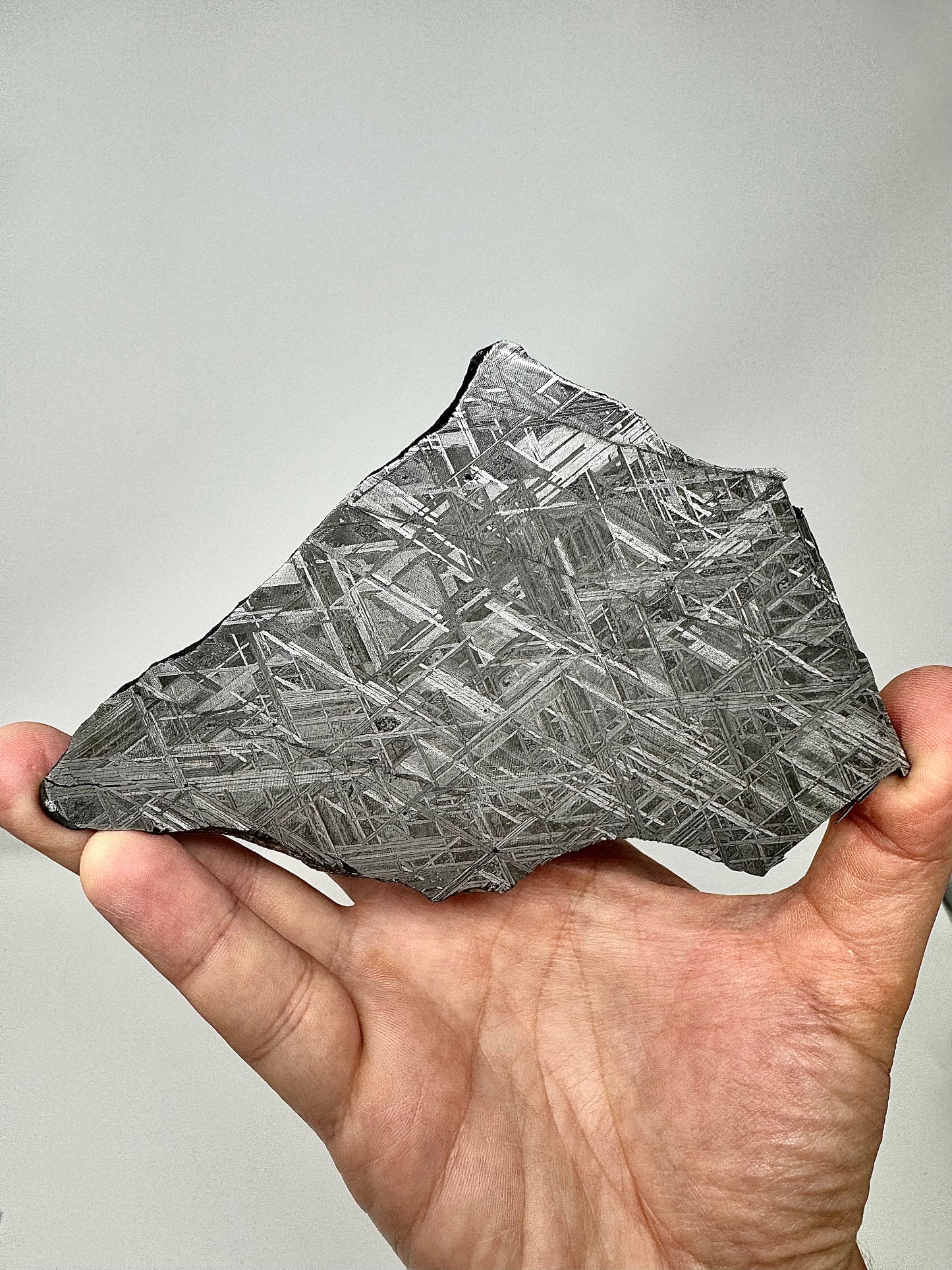 “The Infinity Iron” NWA 17092 - 158.6g Full Slice - From The Core Of An Asteroid