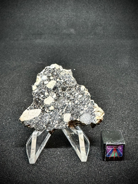 NWA 14685 Lunar Fragmental Breccia - Full Slice - 7.8g