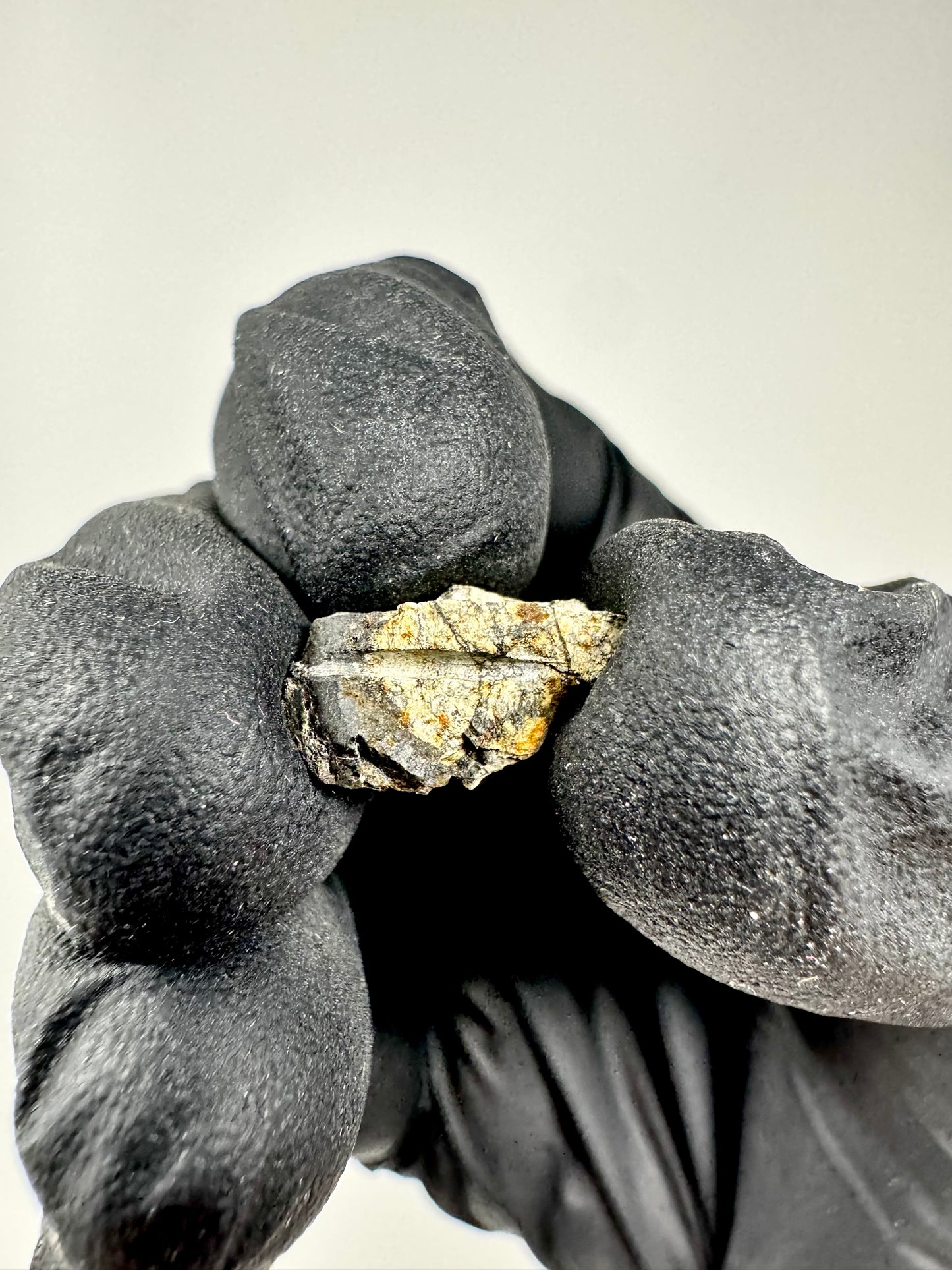 0.8g Chelyabinsk Brecciated Meteorite - Jet Black Crust - Incredibly Fresh and Discovered Immediately After the Fall!