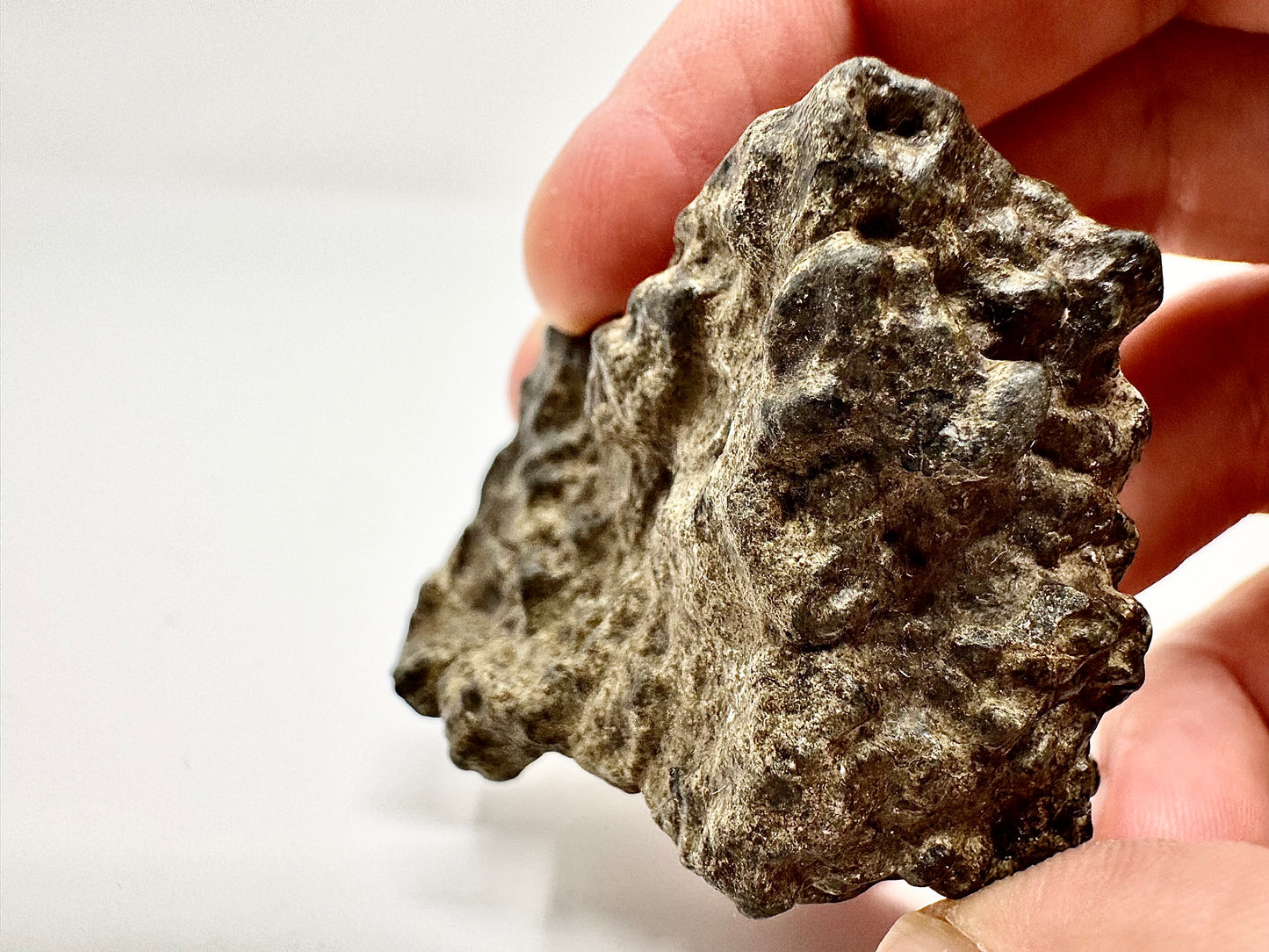57.4g Genuine Martian Meteorite Amgala 001 Individual - Scientifically Studied Rock From Planet Mars