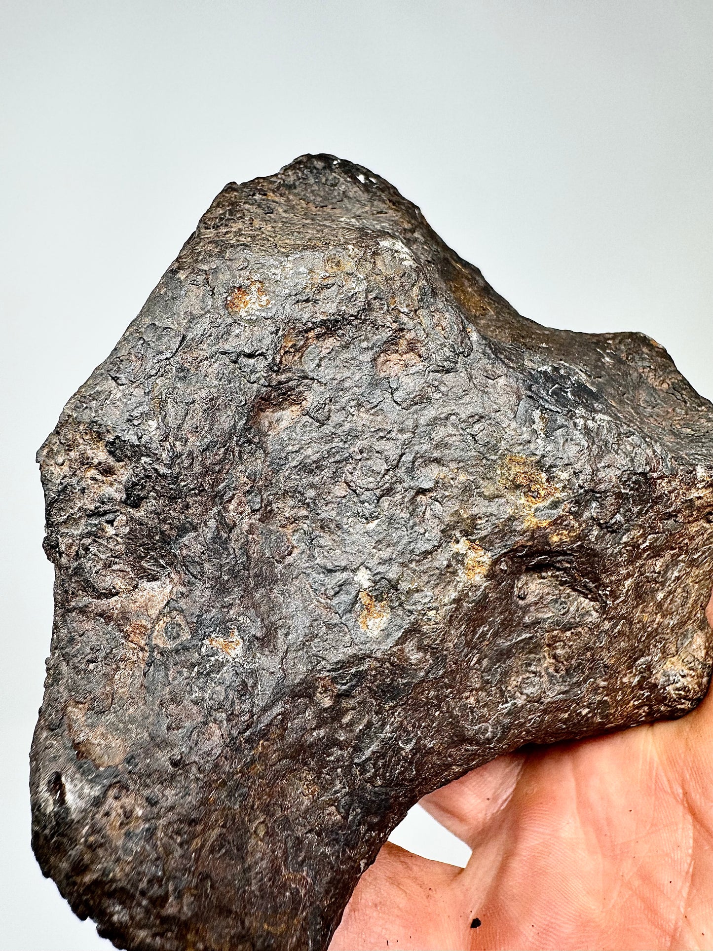 1,990g Campo Del Cielo Iron Meteorite - Nice shape and features!