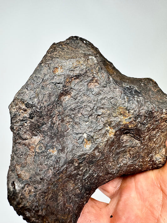 1,990g Campo Del Cielo Iron Meteorite - Nice shape and features!